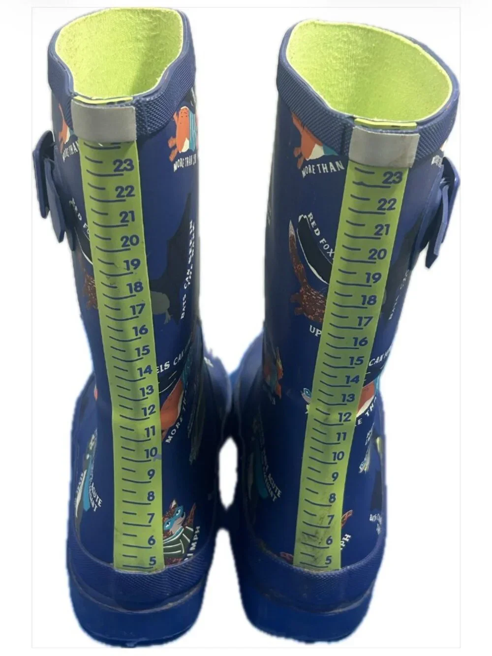 Joules lime these slip